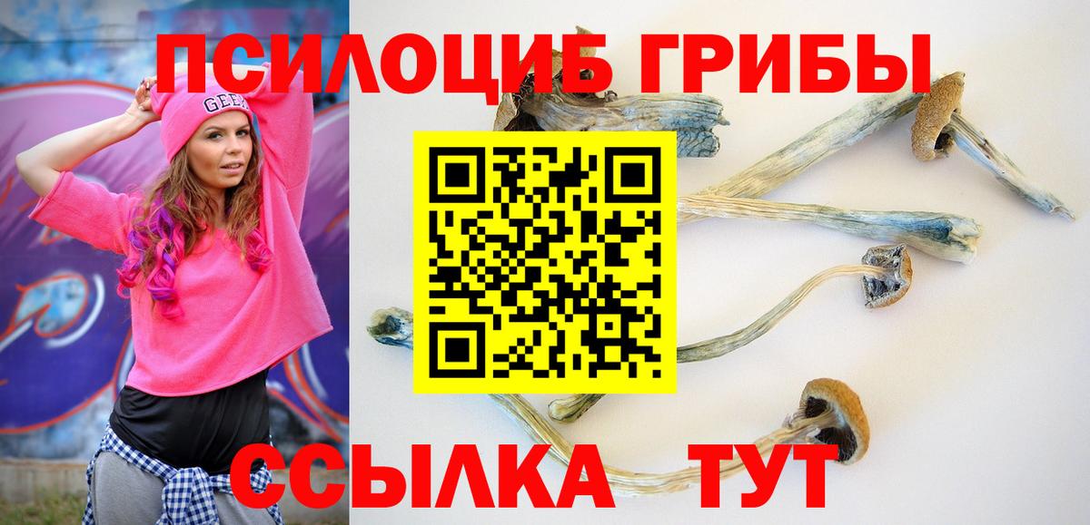 Галлюциногенные грибы Psilocybe  Вход с VPN  Галлюциногенные грибы ЛСД  где купить наркоту  Щёлково 
