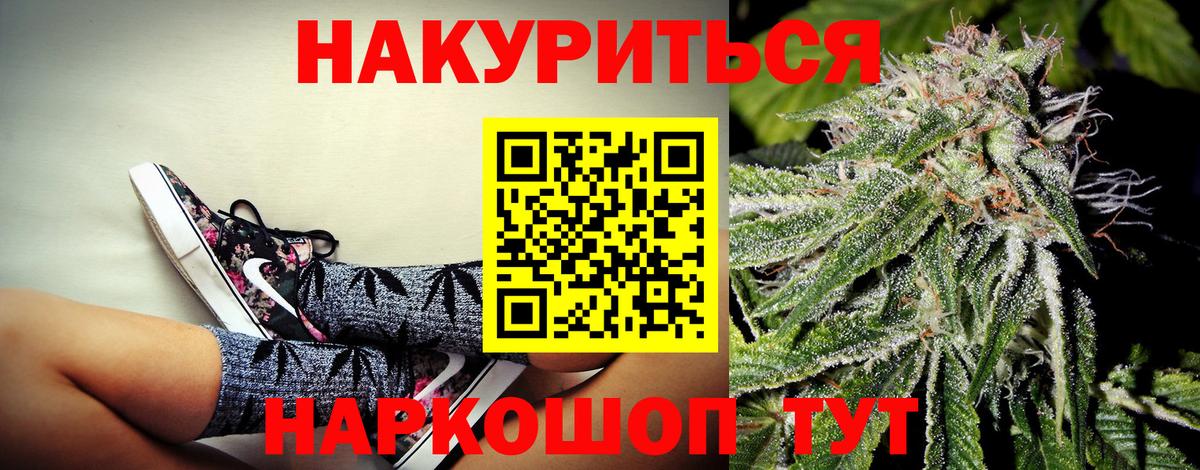 Бошки Шишки гибрид  Конопля планчик  Щёлково  МАРИХУАНА семена  Вход с VPN 